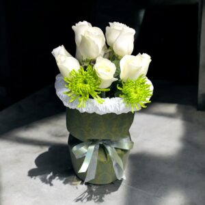 Photoroom_20250803_125857 PM (1)